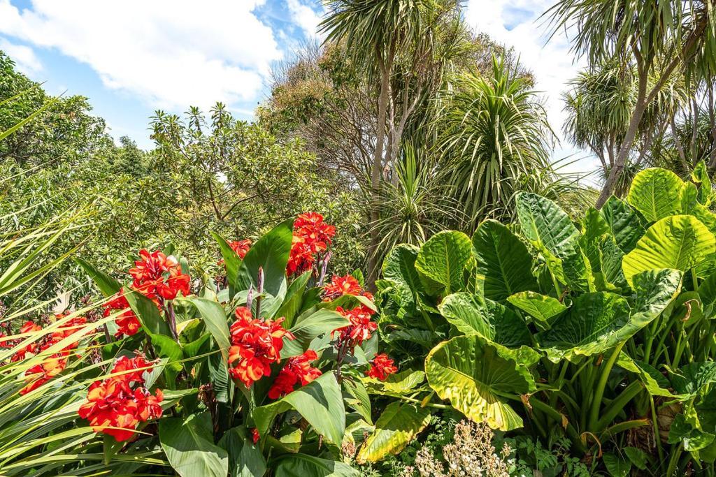 Oneroa Bay Villa Waiheke מראה חיצוני תמונה