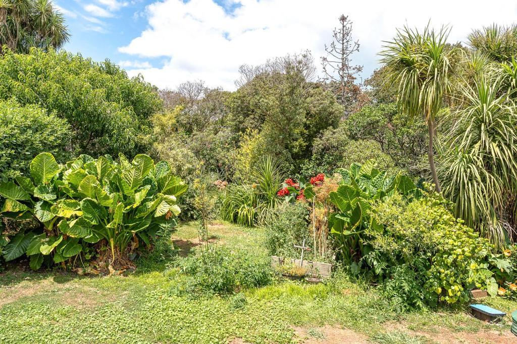 Oneroa Bay Villa Waiheke מראה חיצוני תמונה