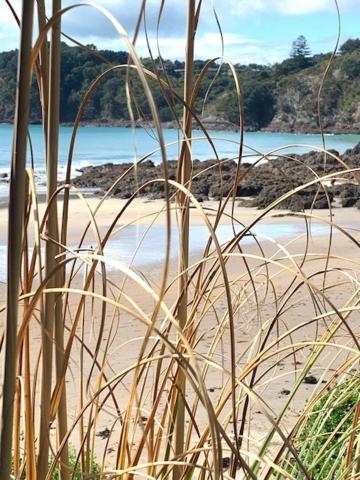 Oneroa Bay Villa Waiheke מראה חיצוני תמונה